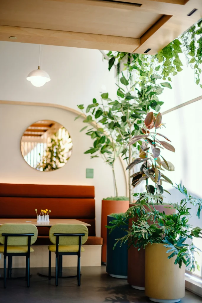 Zimmerpflanzen in Wartebereich